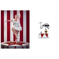 photo ballerina music box in 18/10 stainless steel limited series of 999 numbered pieces 4
